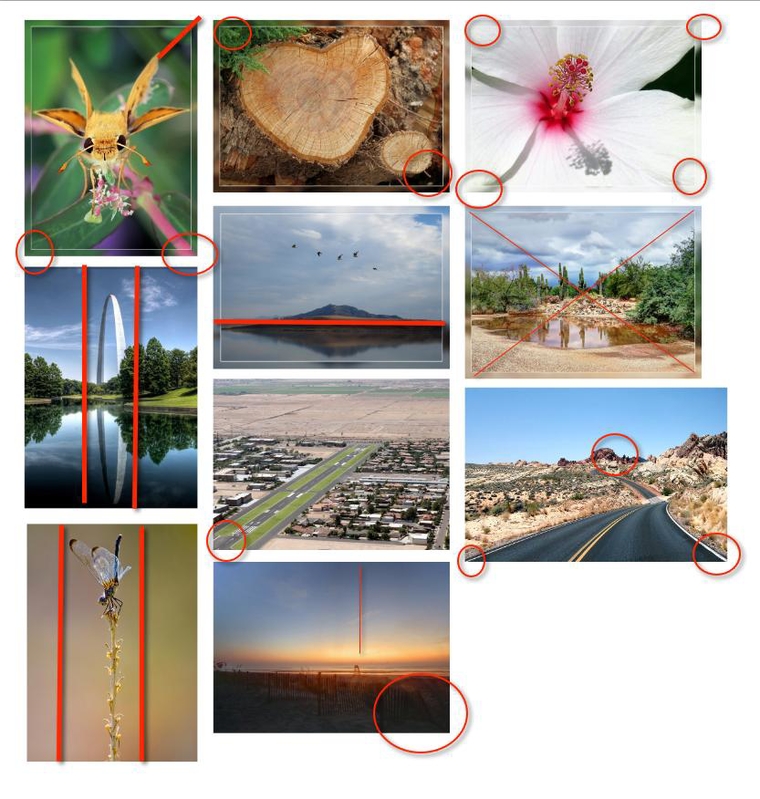 IMAGE: http://www.apoaz.com/ImageShare/albums/userpics/10001/E1.jpg