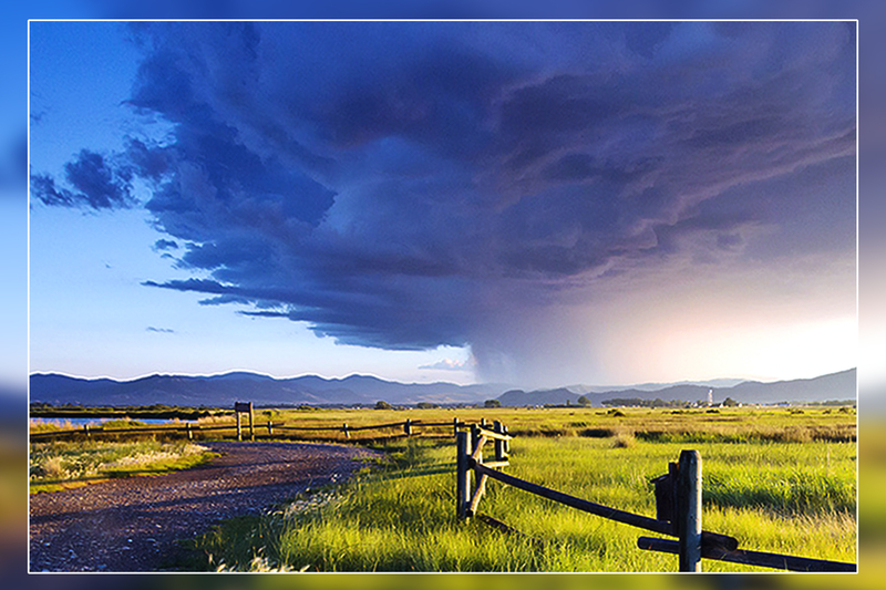 IMAGE: http://www.apoaz.com/ImageShare/albums/userpics/10001/POTN-EF.jpg